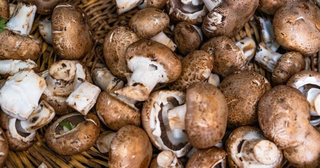 Mushrooms
Vitamin d 2
Bundles